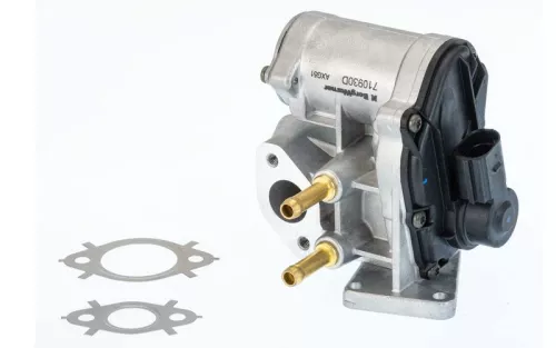 EGR-klep BorgWarner 710930D)