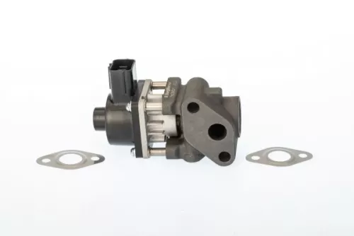EGR-klep BorgWarner 711024D)
