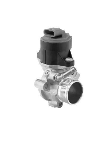 EGR-KLEP BorgWarner 710525D)