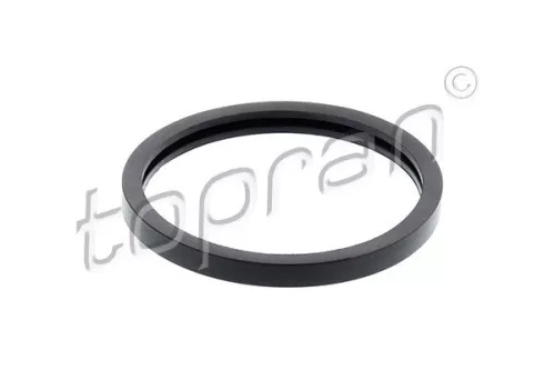 Seal, thermostat TOPRAN 202 324)