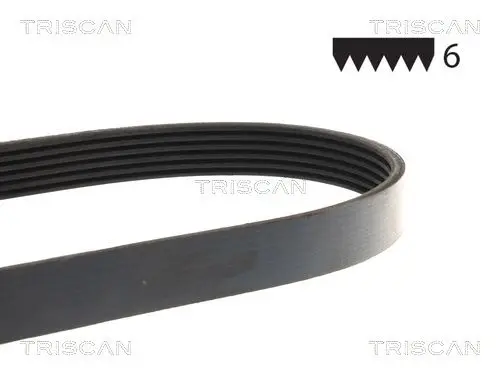 Poly V-riem TRISCAN 6PK1986EMD)