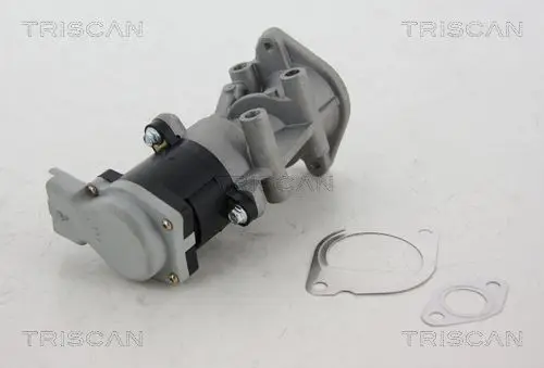 EGR-KLEP TRISCAN 8813 17008)