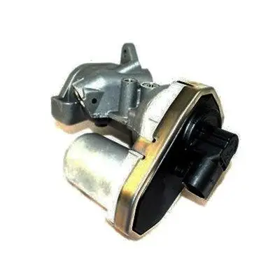 EGR-KLEP MAGNETI MARELLI 571822112038)