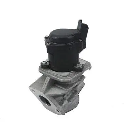 EGR-KLEP MAGNETI MARELLI 571822112029)