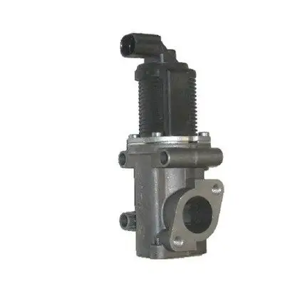 EGR-KLEP MAGNETI MARELLI 571822112004)