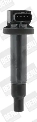 BOBINE BorgWarner (BERU) ZSE165)