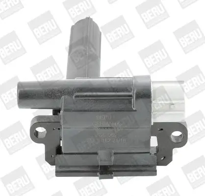 BOBINE BorgWarner (BERU) ZSE069)