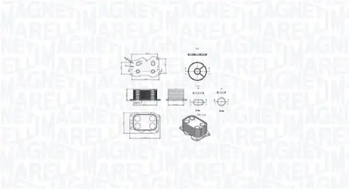 Oliekoeler, motorolie MAGNETI MARELLI 350300000900)