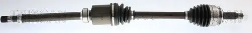 PÓŁOŚ NISSAN QASHQAI/ RENAULT TRISCAN 8540 25752)