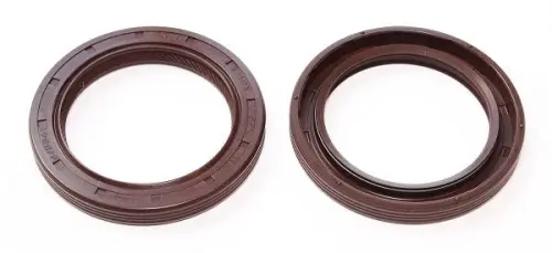 KEERRING MOTOR ELRING 076.220)