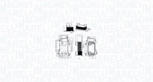 Oliekoeler, motorolie MAGNETI MARELLI 350300003900)
