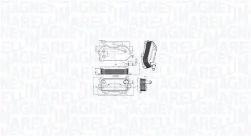 Oliekoeler, motorolie MAGNETI MARELLI 350300003000)
