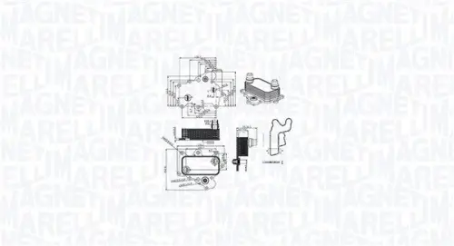 Oliekoeler, motorolie MAGNETI MARELLI 350300000400)