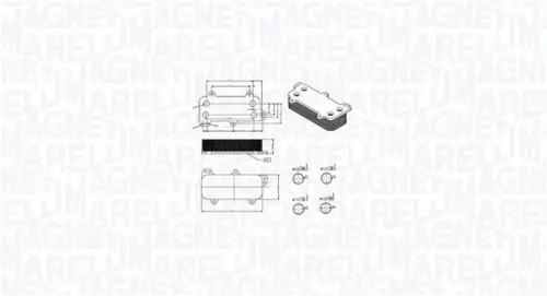 Oliekoeler, motorolie MAGNETI MARELLI 350300003700)