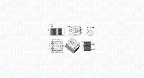 Oliekoeler, motorolie MAGNETI MARELLI 350300003100)