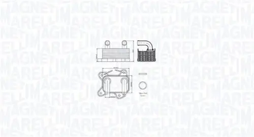 Oliekoeler, motorolie MAGNETI MARELLI 350300002000)