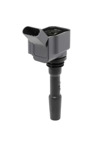 PEN BOBINE BorgWarner (BERU) ZSE236)