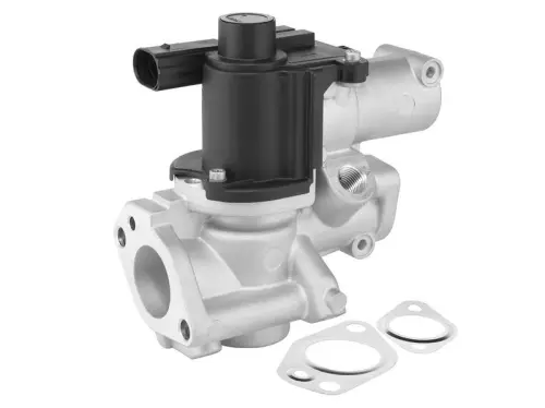 EGR-KLEP BorgWarner 729020D)