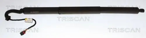 ELEKTR GASVEER LI TRISCAN TRISCAN 8710 43320)