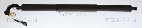 SIŁOWNIK ELEKTRYCZNY POKRYWY BAGAŻNIKA BMW 2 07.14- PR/LE TRISCAN 8710 11373)