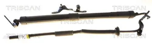 ELEKTR GASVEER LI TRISCAN TRISCAN 8710 24306)