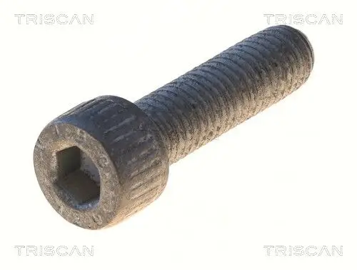 ŚRUBA VW PASSAT 91-94 TRISCAN 85010529)