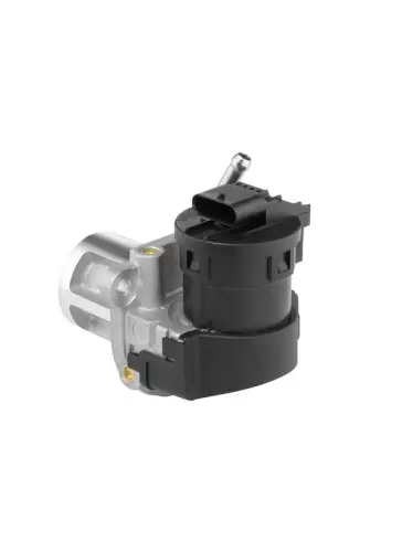 EGR-KLEP BorgWarner 710095D/1)