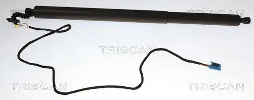 ELEKTR GASVEER RE TRISCAN TRISCAN 8710 23323)