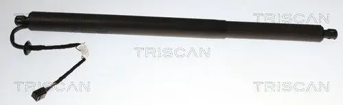 ELEKTR GASVEER LI TRISCAN TRISCAN 8710 14303)
