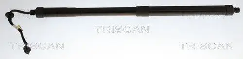 SIŁOWNIK ELEKTRYCZNY POKRYWY BAGAŻNIKA HYUNDAI I40 07.11-05.19 PR TRISCAN 8710 43316)