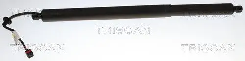 ELEKTR GASVEER RE TRISCAN TRISCAN 8710 14304)