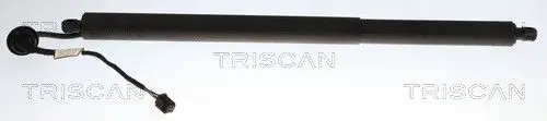ELEKTR GASVEER RE TRISCAN TRISCAN 8710 27319)