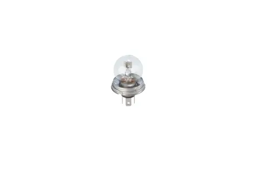 200x ŻARÓWKA BASIC R2 12V, 45/40W, P45T BOSCH 1 987 302 826)