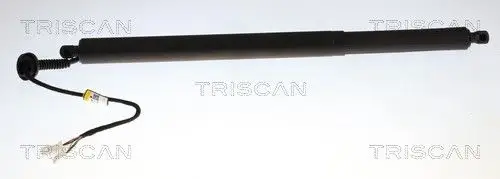 ELEKTR GASVEER LI TRISCAN TRISCAN 8710 23320)