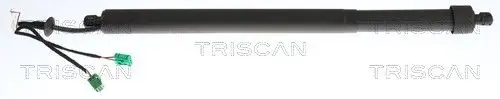 ELEKTR GASVEER RE TRISCAN TRISCAN 8710 28304)