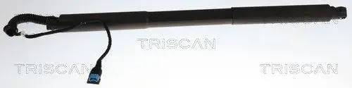 SIŁOWNIK ELEKTRYCZNY POKRYWY BAGAŻNIKA BMW 3 07.12-06.19 LE TRISCAN 8710 11374)