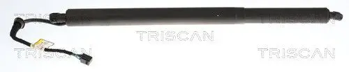 ELEKTR GASVEER LI TRISCAN TRISCAN 8710 43317)