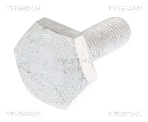 ŚRUBA VW GOLF 86-16 TRISCAN 85010520)