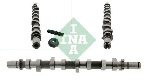 NOKKENAS Schaeffler INA 428 0252 10)