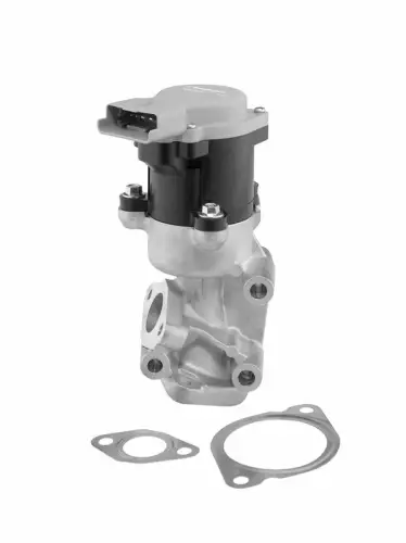 ZAWÓR EGR CITROEN 2,7HDI BorgWarner 712057D)