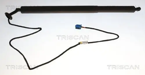 ELEKTR GASVEER RE TRISCAN TRISCAN 8710 23321)