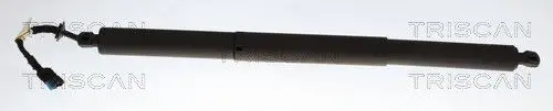 SIŁOWNIK ELEKTRYCZNY POKRYWY BAGAŻNIKA BMW X2 11.17-10.23 PR TRISCAN 8710 11380)