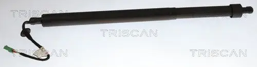 ELEKTR GASVEER RE TRISCAN TRISCAN 8710 28310)