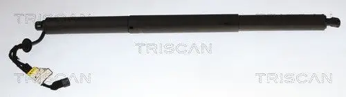 SIŁOWNIK ELEKTRYCZNY POKRYWY BAGAŻNIKA BMW 1 07.19- LE TRISCAN 8710 11370)
