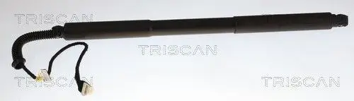 SIŁOWNIK ELEKTRYCZNY POKRYWY BAGAŻNIKA BMW 3 07.12-06.19 PR TRISCAN 8710 11375)