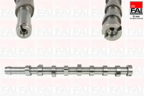 NOKKENAS FAI AutoParts C369)