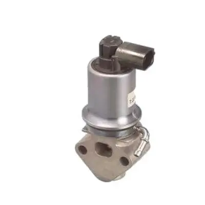 EGR-KLEP MAGNETI MARELLI 571822112013)