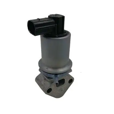 EGR-KLEP MAGNETI MARELLI 571822112071)