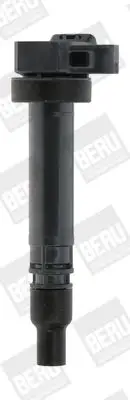 BOBINE BorgWarner (BERU) ZSE168)