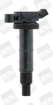 BOBINE BorgWarner (BERU) ZSE171)